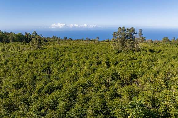 Acres Of Agricultural Land For Sale In Holualoa Hawaii Landsearch