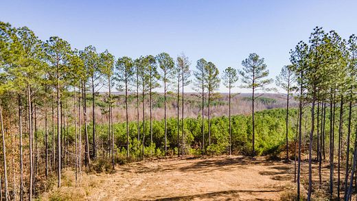 Acres Of Recreational Land For Sale In Waverly Tennessee