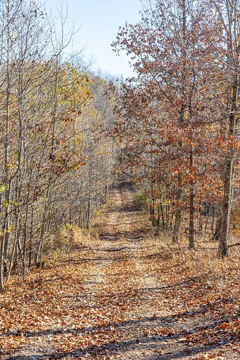 1 205 Acres Of Recreational Land For Sale In Waverly Tennessee