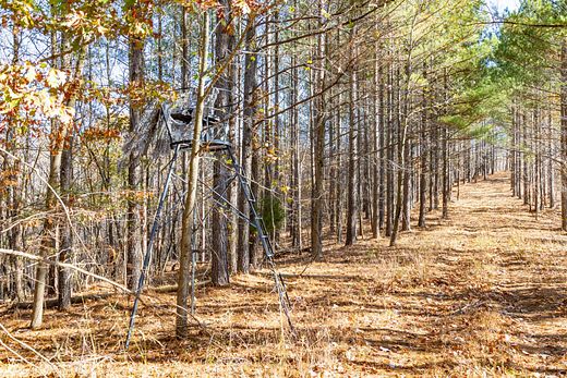 Acres Of Recreational Land For Sale In Waverly Tennessee