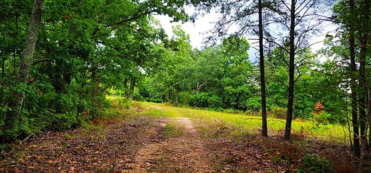 2 100 Acres Of Recreational Land For Sale In Waverly Tennessee