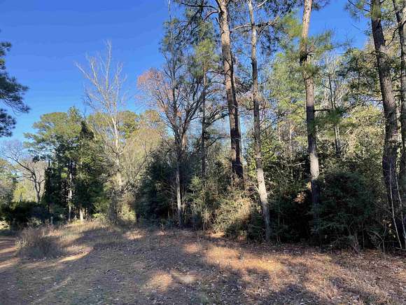 Acres Of Residential Land For Sale In Brookeland Texas Landsearch