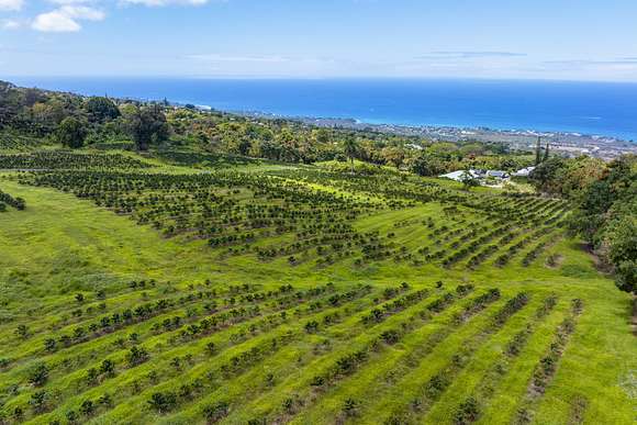 Acres Of Agricultural Land For Sale In Holualoa Hawaii Landsearch