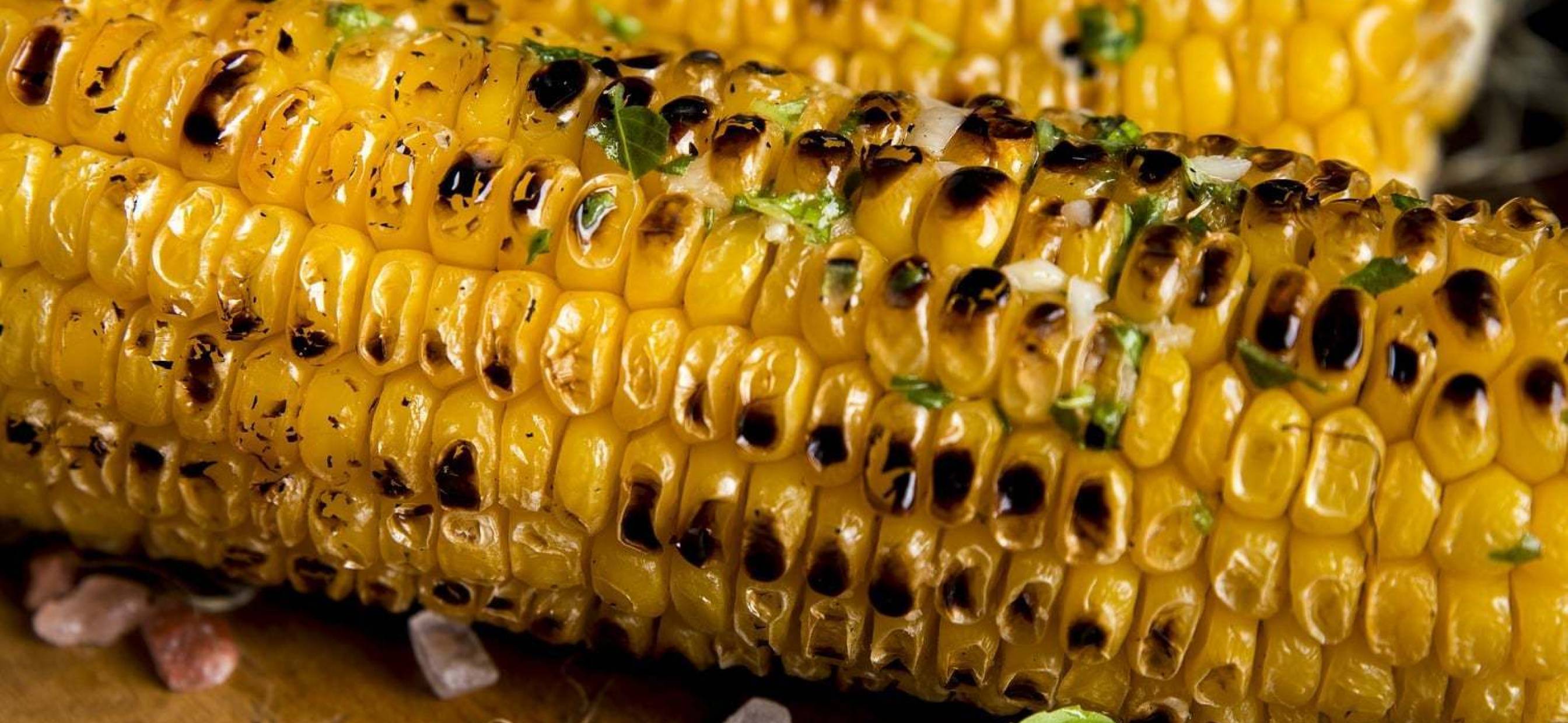Corn: the Crop That Shaped the New World