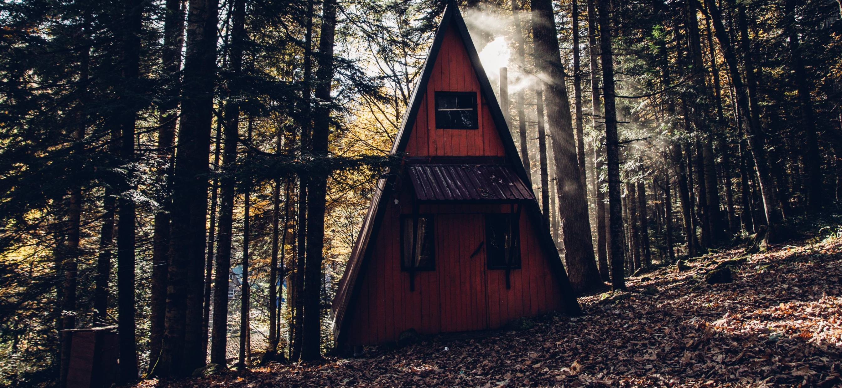 How to Live Off the Grid and Survive