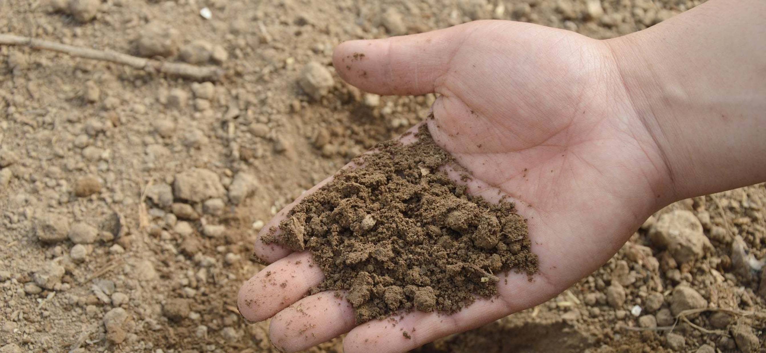 Why You Should Have Your Soil Sampled and Tested