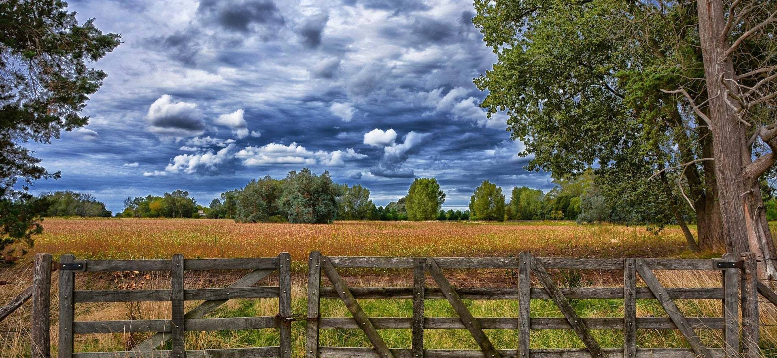 What to Do When Your Land Isn't Selling