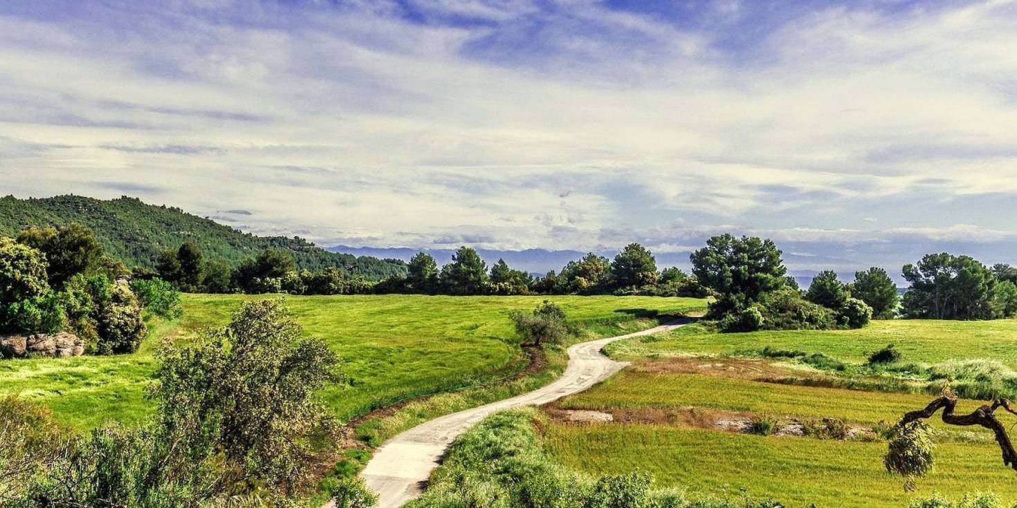 20 Land Buyer Questions