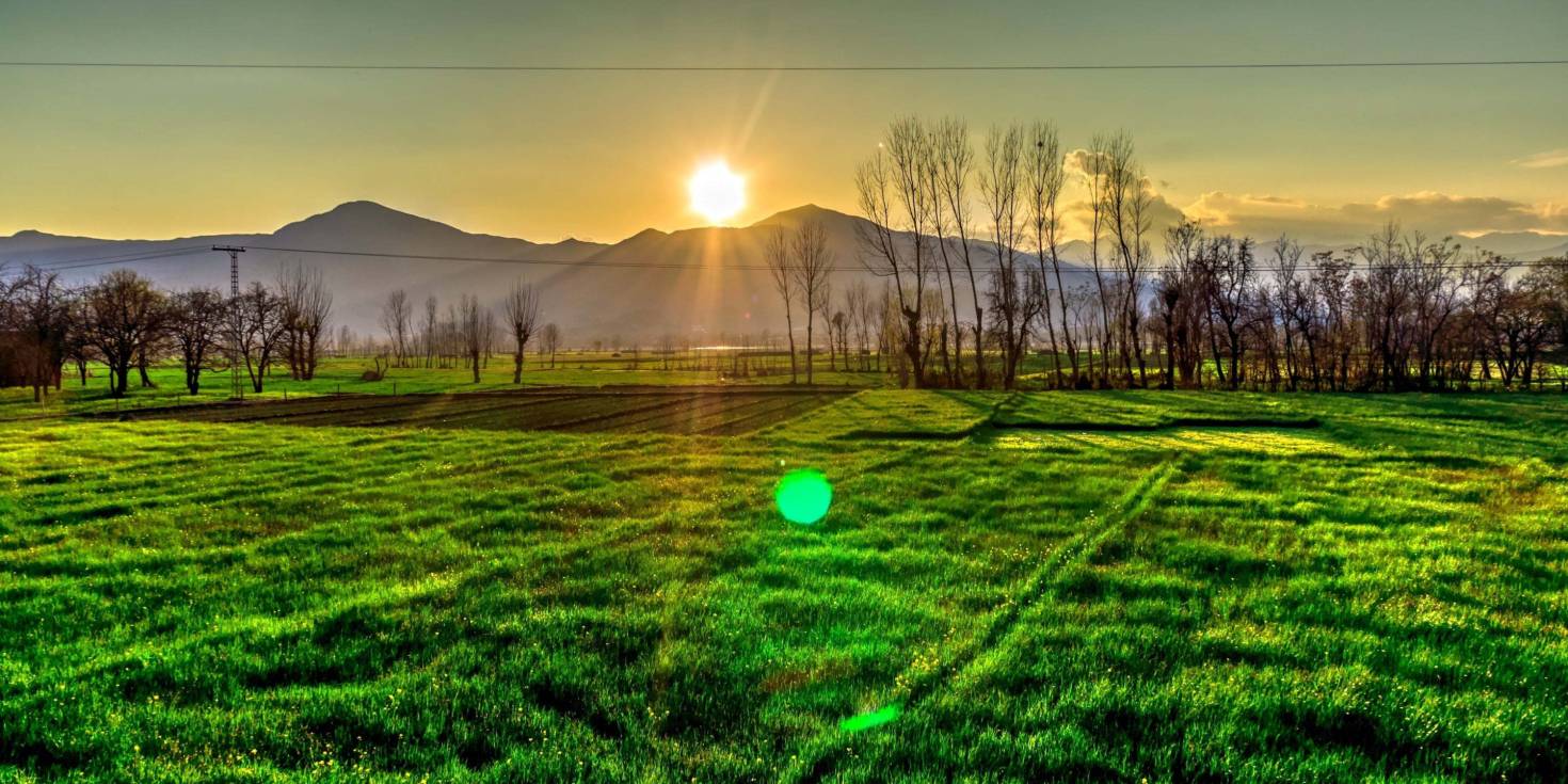 Buying vs. Leasing Land