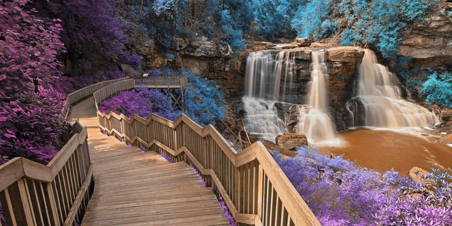 Blackwater Falls State Park