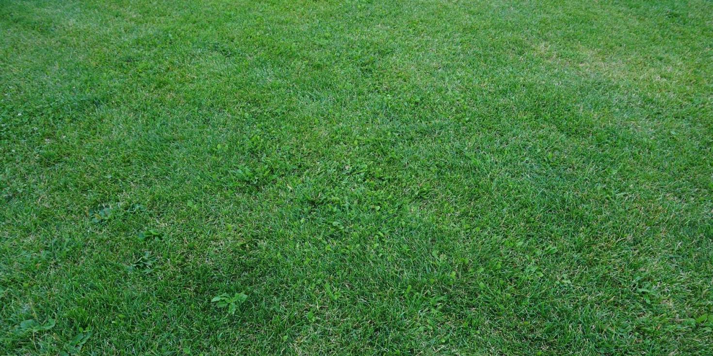 Find Land to Build a Home