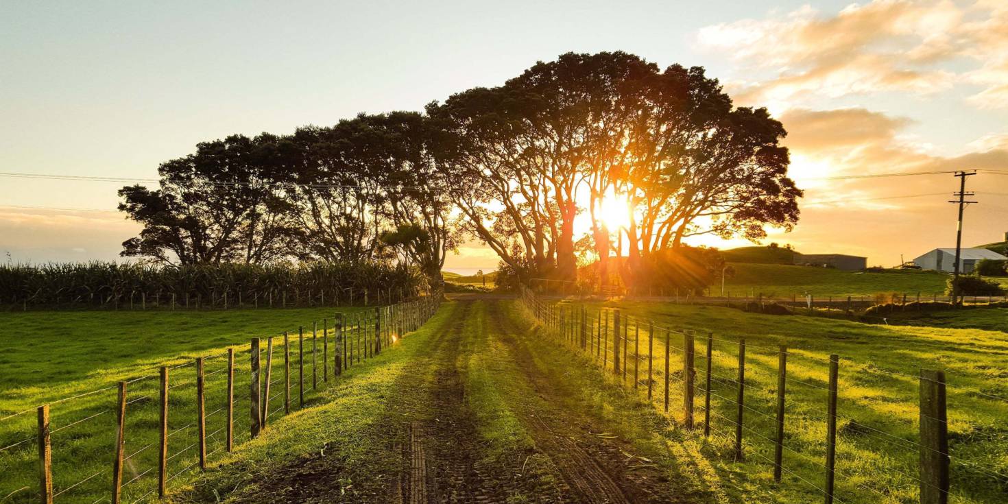 Getting a Land Survey