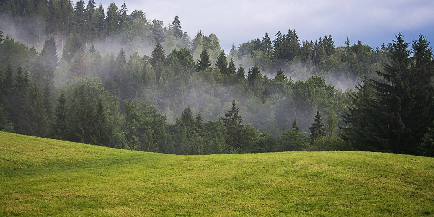 Increase Your Land Value