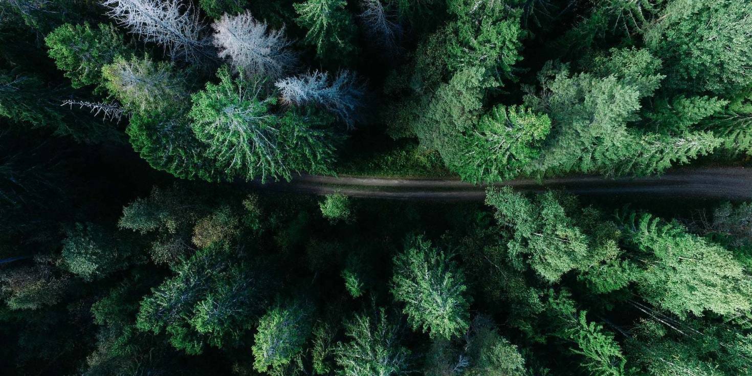 Land Marketing Survey