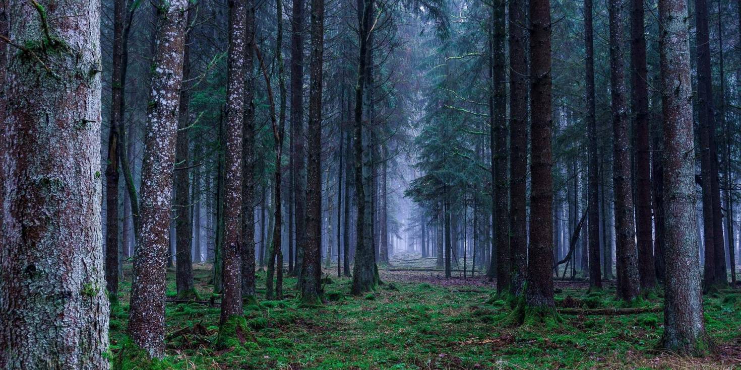 Largest Organizational Landowners