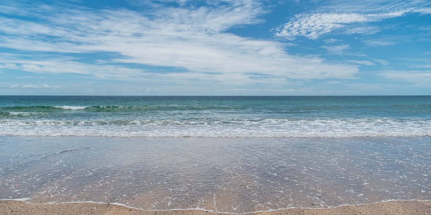 Lewis and Clark Expedition