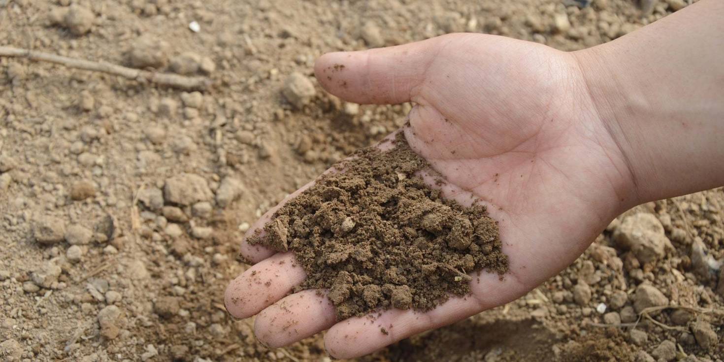 Soil Sampling And Testing
