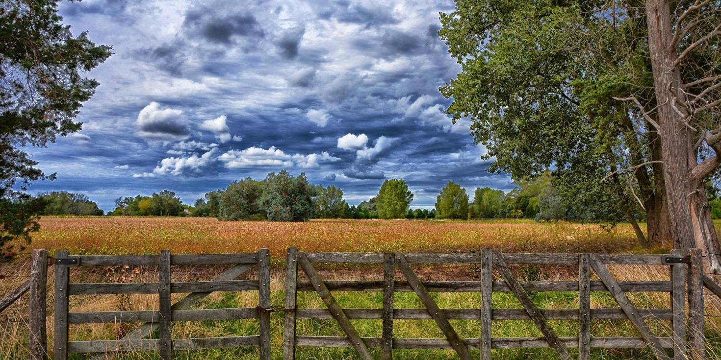 What to Do When Your Land Won't Sell