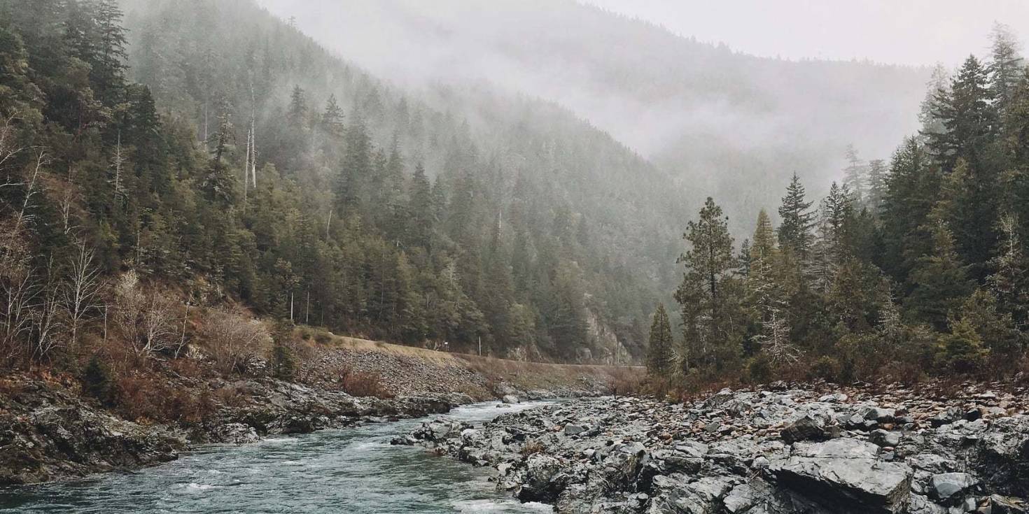 Wilderness Survival Guide