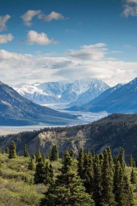 The 20 largest U.S. landowners in 2017