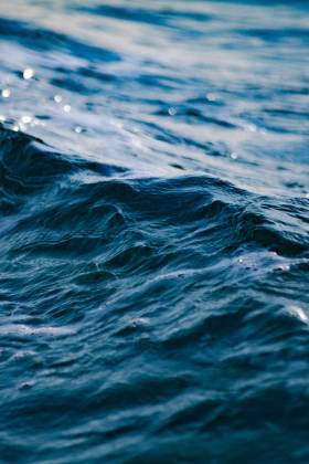 Are your actions reducing or contributing to water pollution?