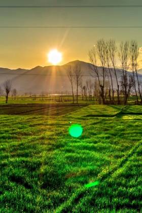 Are you better off buying or leasing land?