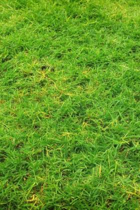 What does it mean if there’s a lien on your property?