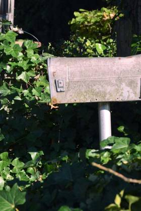 15 reasons direct mail is effective in land marketing