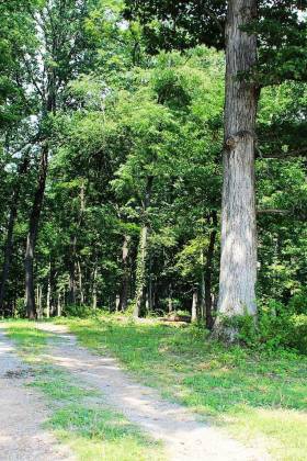 Know your easement rights before buying land