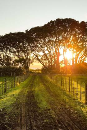 Do you need a land survey before buying property?