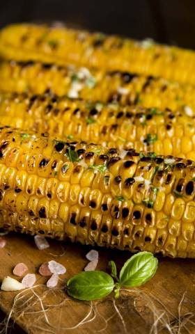 Corn: the crop that shaped the new world