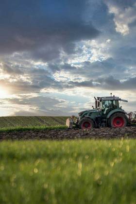 Investing in farmland to grow your money