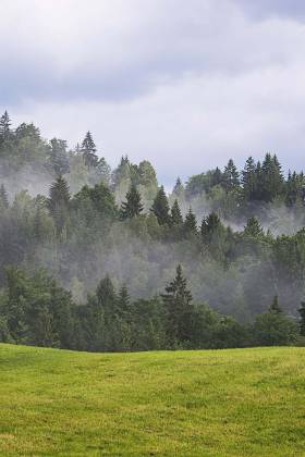 5 ways to increase the value of your land