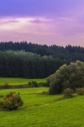 Is investing in land a good idea?