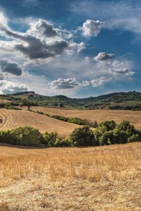 What to expect: the land buying process