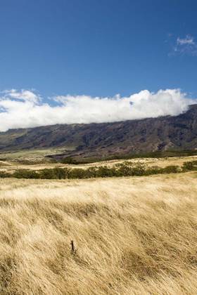 Story loans: how to finance your land purchase