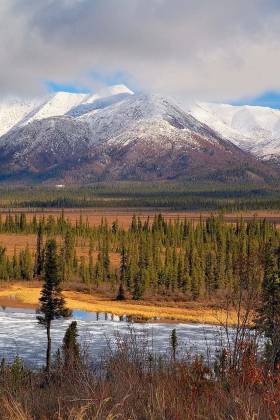 The 20 largest U.S. landowners in 2016