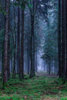 These 20 entities own the most U.S. land in 2018