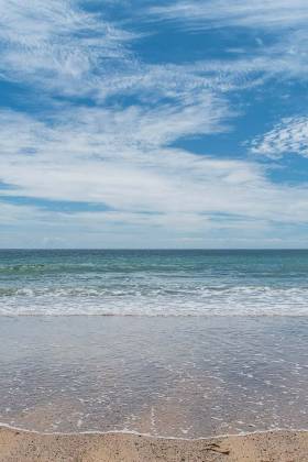 The uncharted adventure to the Pacific: Lewis and Clark Expedition