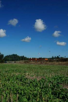 Who owns the mineral rights to your property?