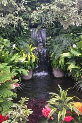 Live in harmony with nature by naturescaping