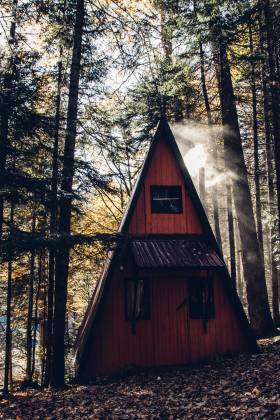 Survive living off the grid