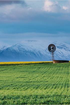 What's the difference between a farm and a ranch?