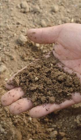 Why you should have your soil sampled and tested