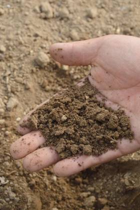 Why you should have your soil sampled and tested