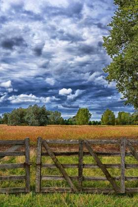 What to do when your land isn't selling