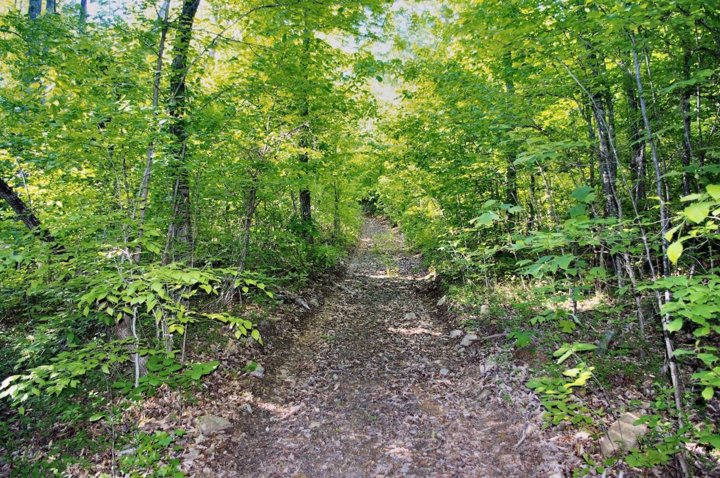 Trail of Tears Trail