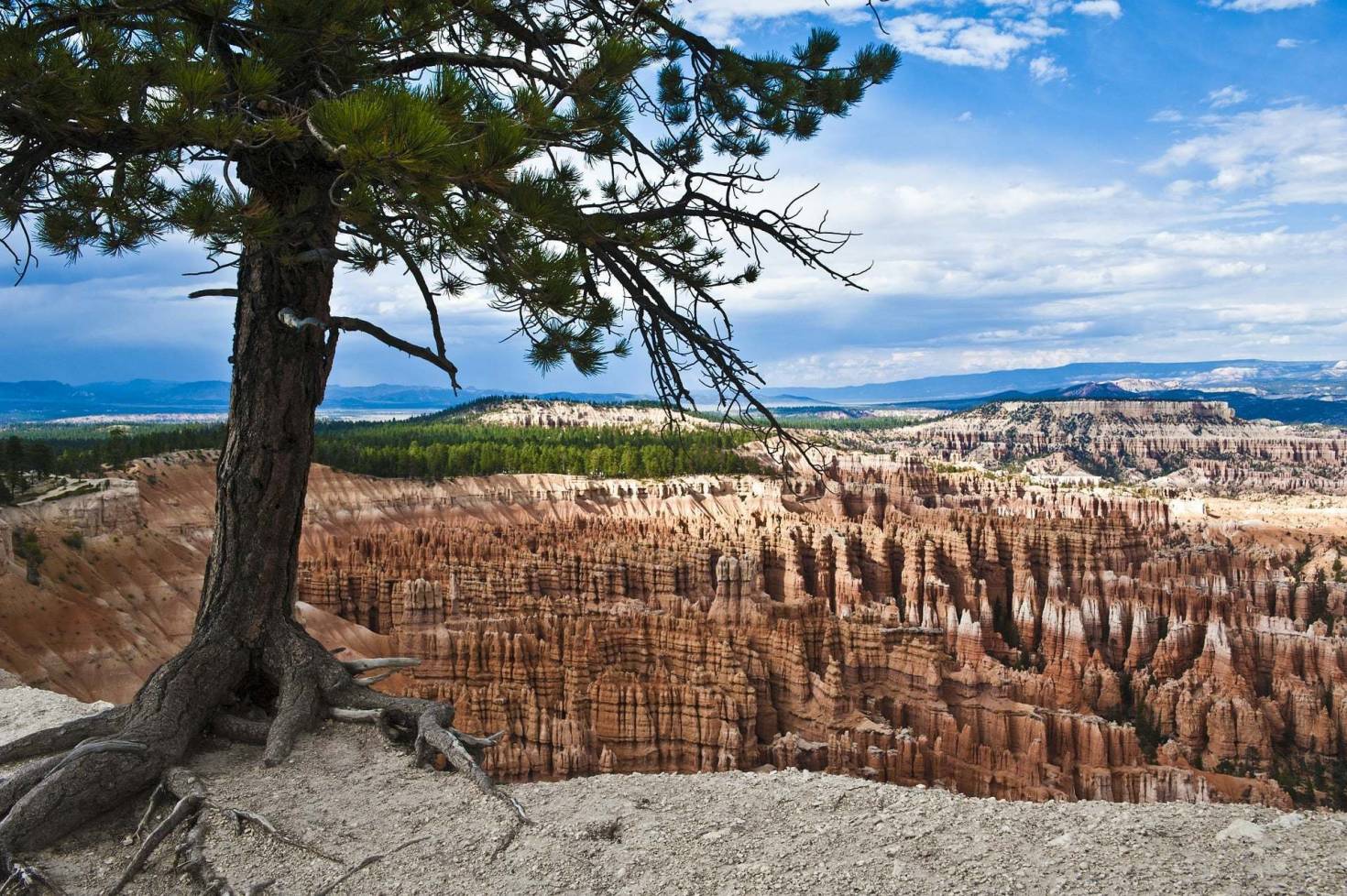 Bryce Canyon National Park