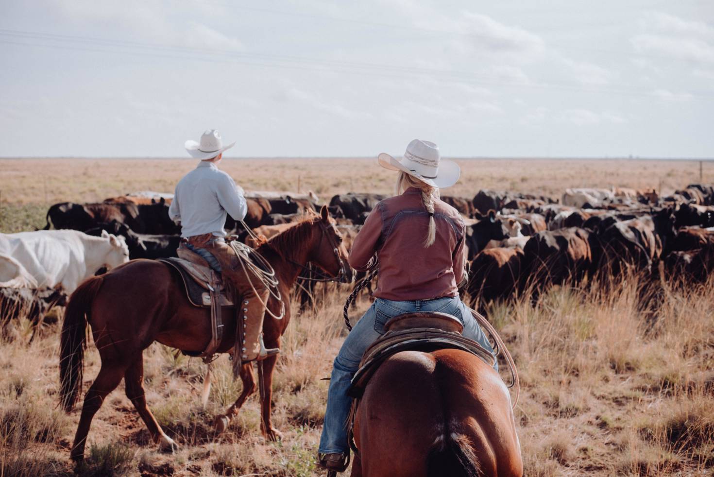 Difference Between Farm and Ranch