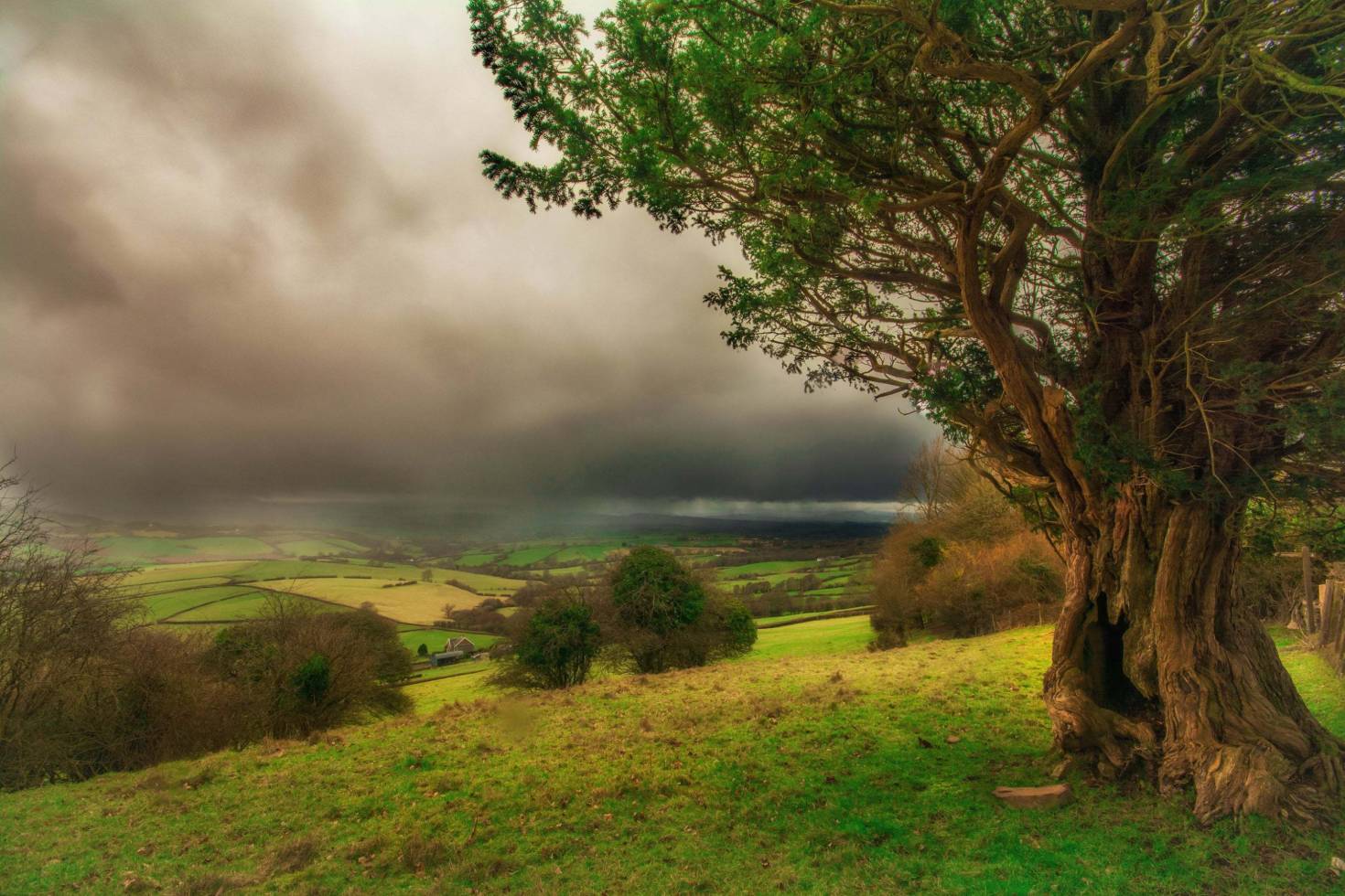 Farmland For Sale